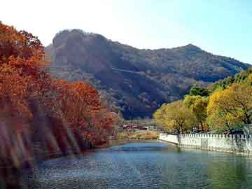 澳门天天开奖免费资料，山东周村电热锅